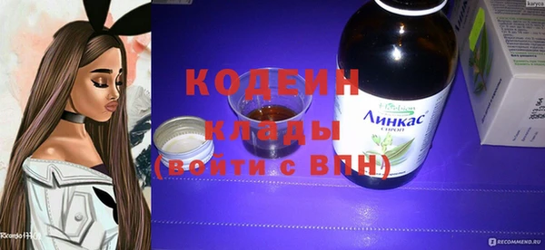 мдпв Заводоуковск